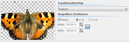 Effekt Transformation SkalierenBSP.jpg